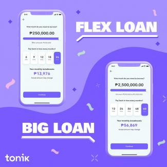 Flex big loans